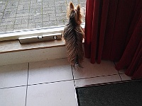 IMG-20230213-WA0007