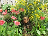 IMG 0431