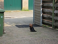IMG 0567