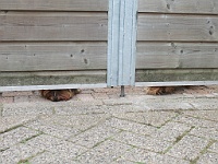 IMG 1256