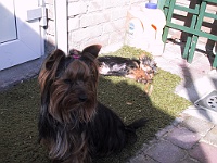 IMG 2010