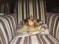 IMG 20190429 204604