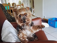 IMG 20190806 160933