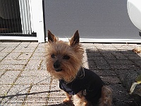 IMG 20200411 152449