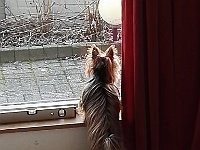 IMG 20230213 173245