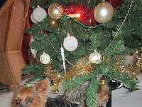 IMG 1638