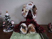 kerst 2006-16  Samen voor de kerstman
